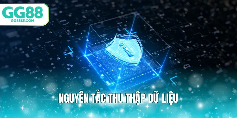 Nguyên tắc thu thập dữ liệu